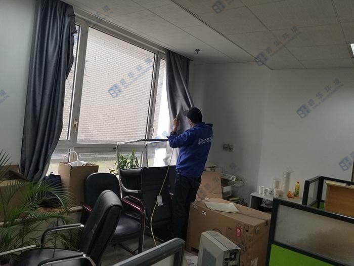 治理甲醛單位推薦幾種有效凈化空氣的植物